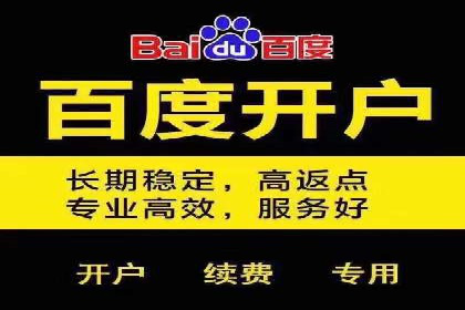 SEM优化实战案例：效果提升策略